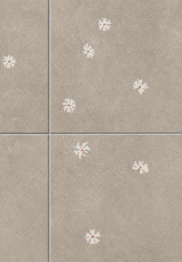 Parinathi surface collection