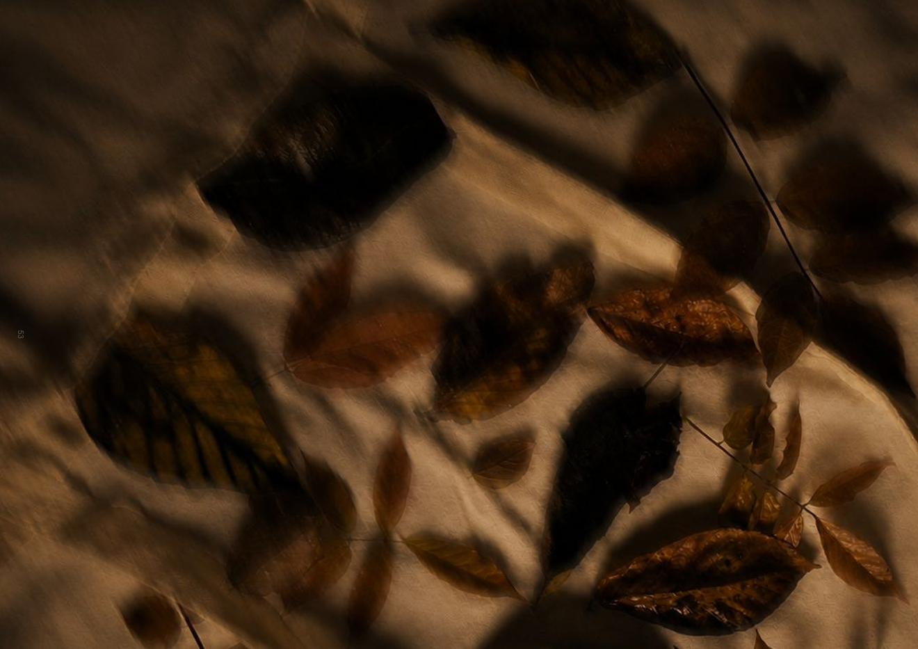 Chapu eco prints of India